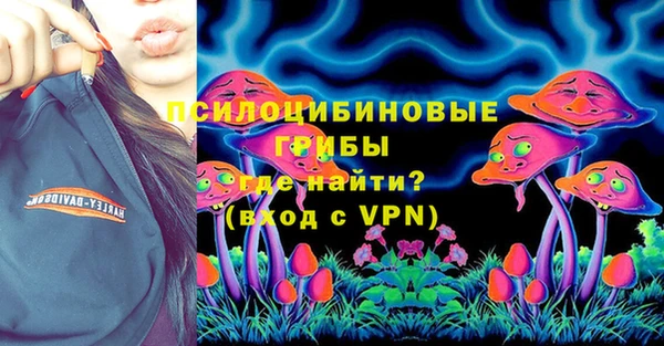дурь Горно-Алтайск