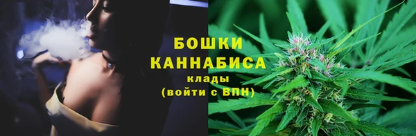 скорость Гусев