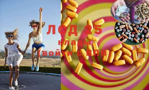 индика Лихославль