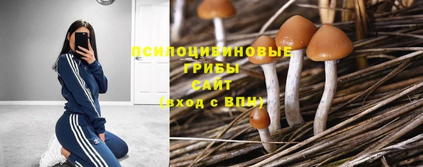 спайс Горняк